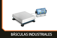 Báscula industrial robusta para medición de peso de cargas pesadas en fábrica